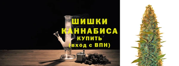 ГАЛЛЮЦИНОГЕННЫЕ ГРИБЫ Липки